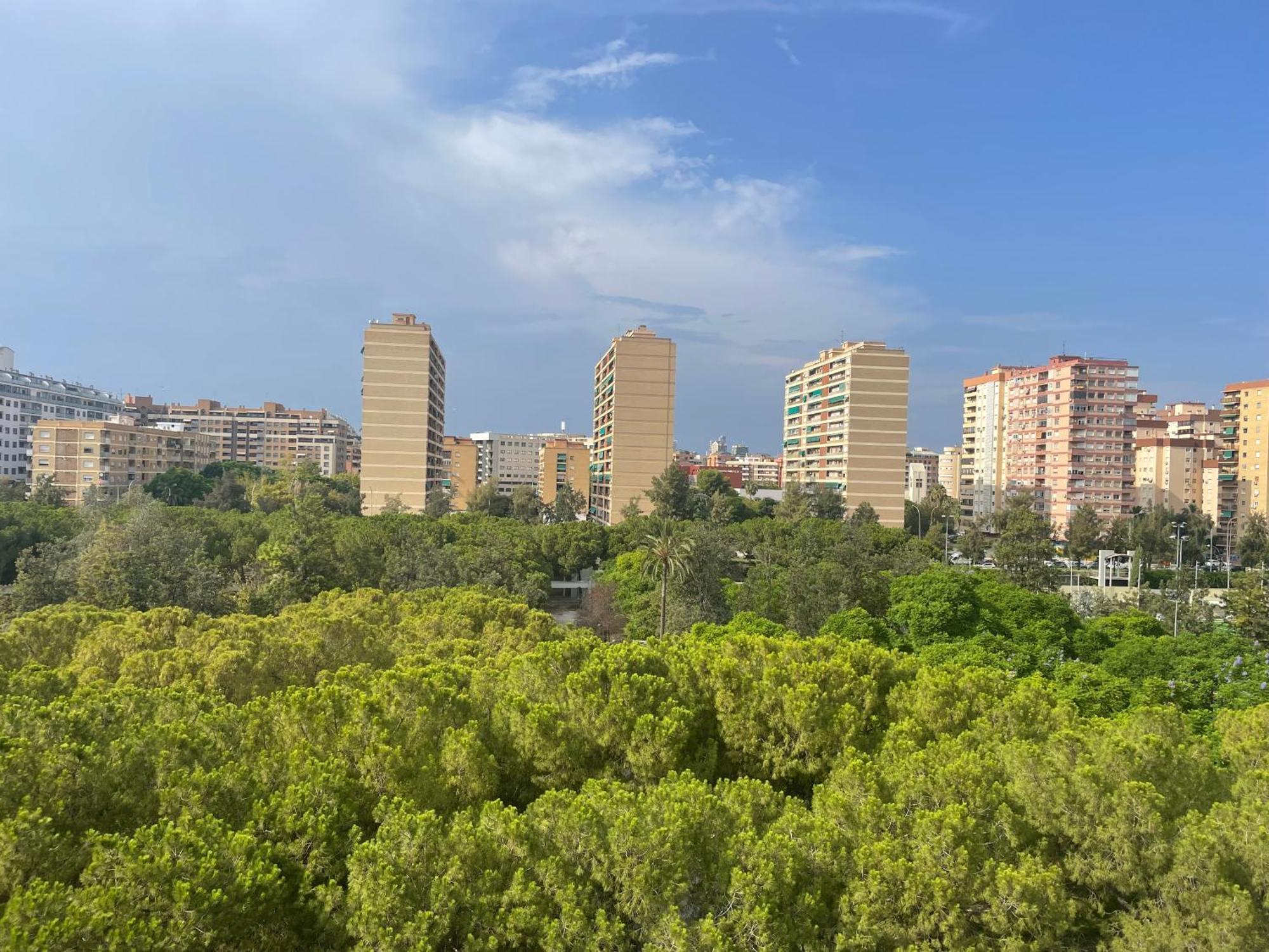 Appartement Cozy - Lumineux 3 Pieces, A Cote Du Jardin De Turia Valencia